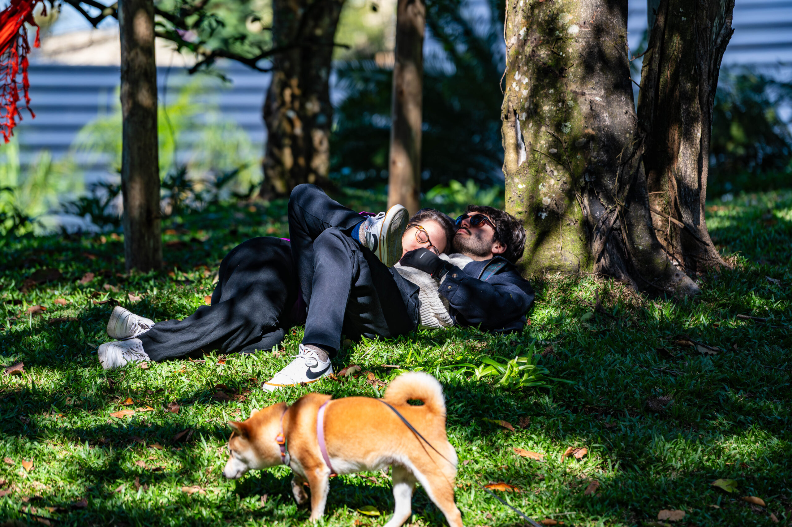 00135-Piemonte-GentiU_Alta