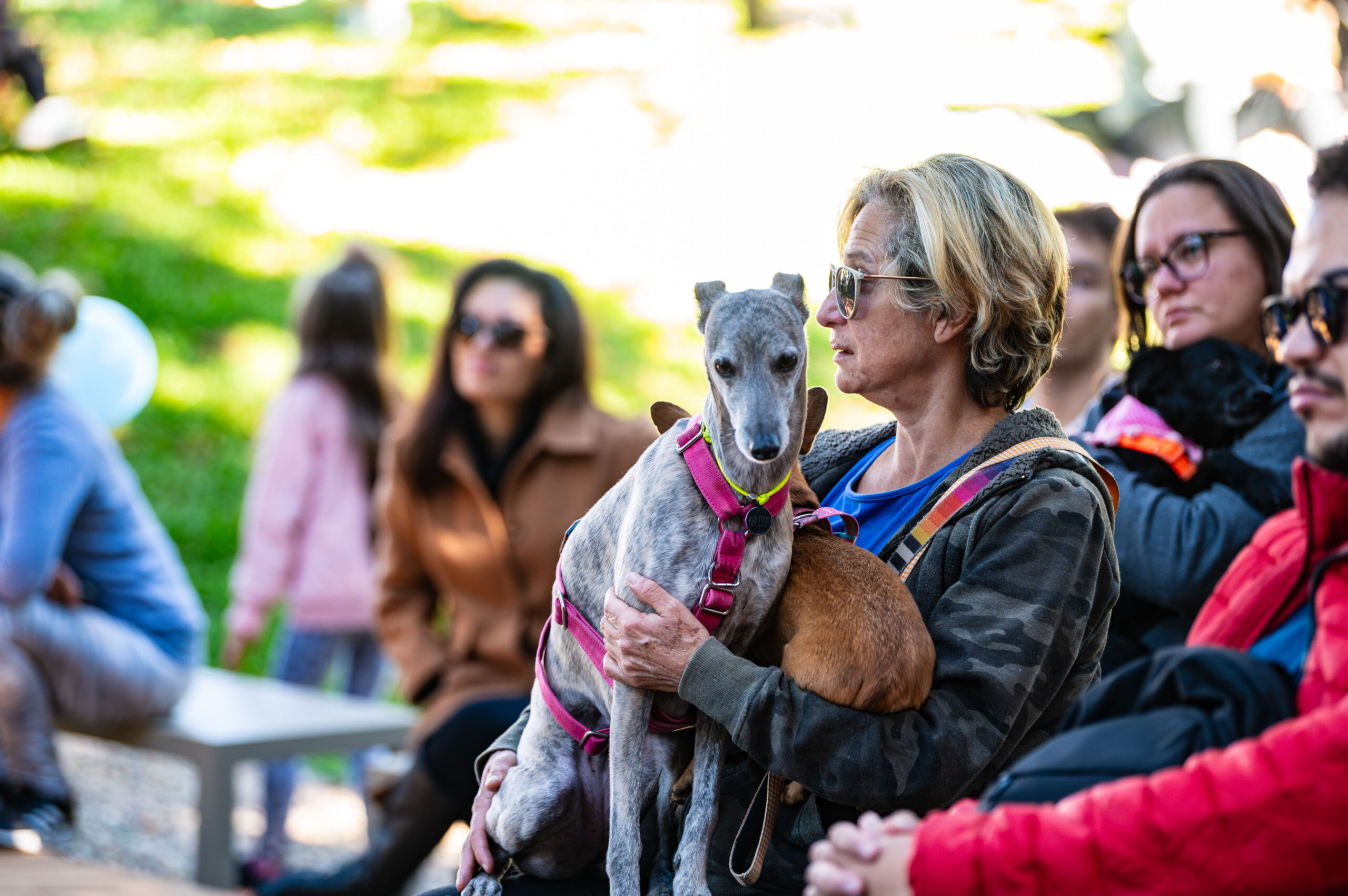 00358-Piemonte-GentiU_Alta