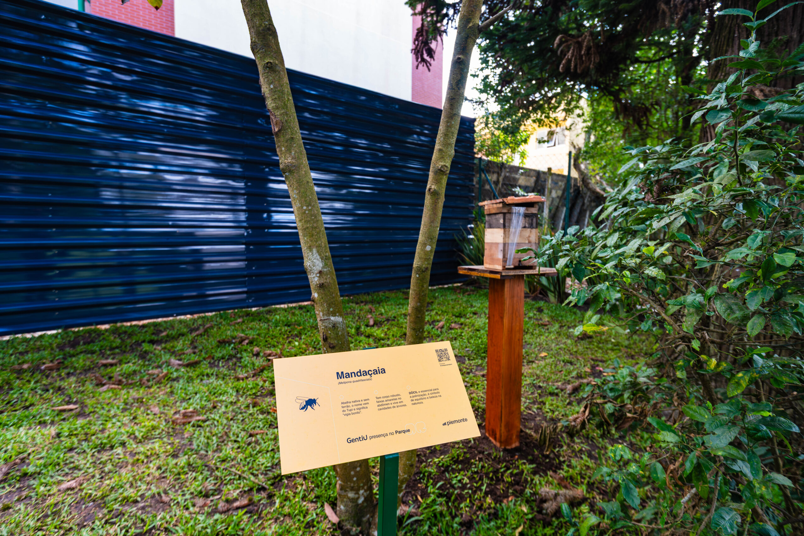 00046-Piemonte-GentiU_Alta