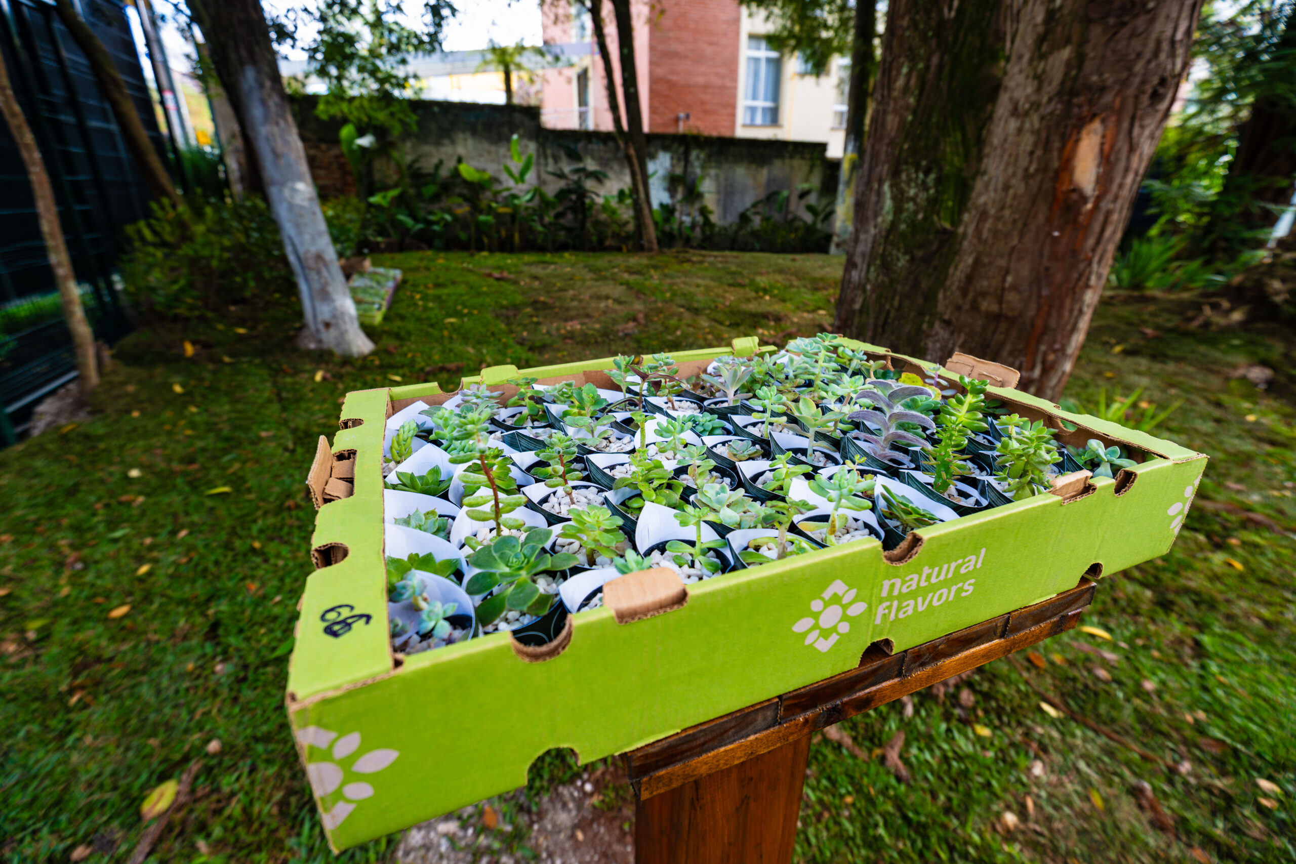 00053-Piemonte-GentiU_Alta